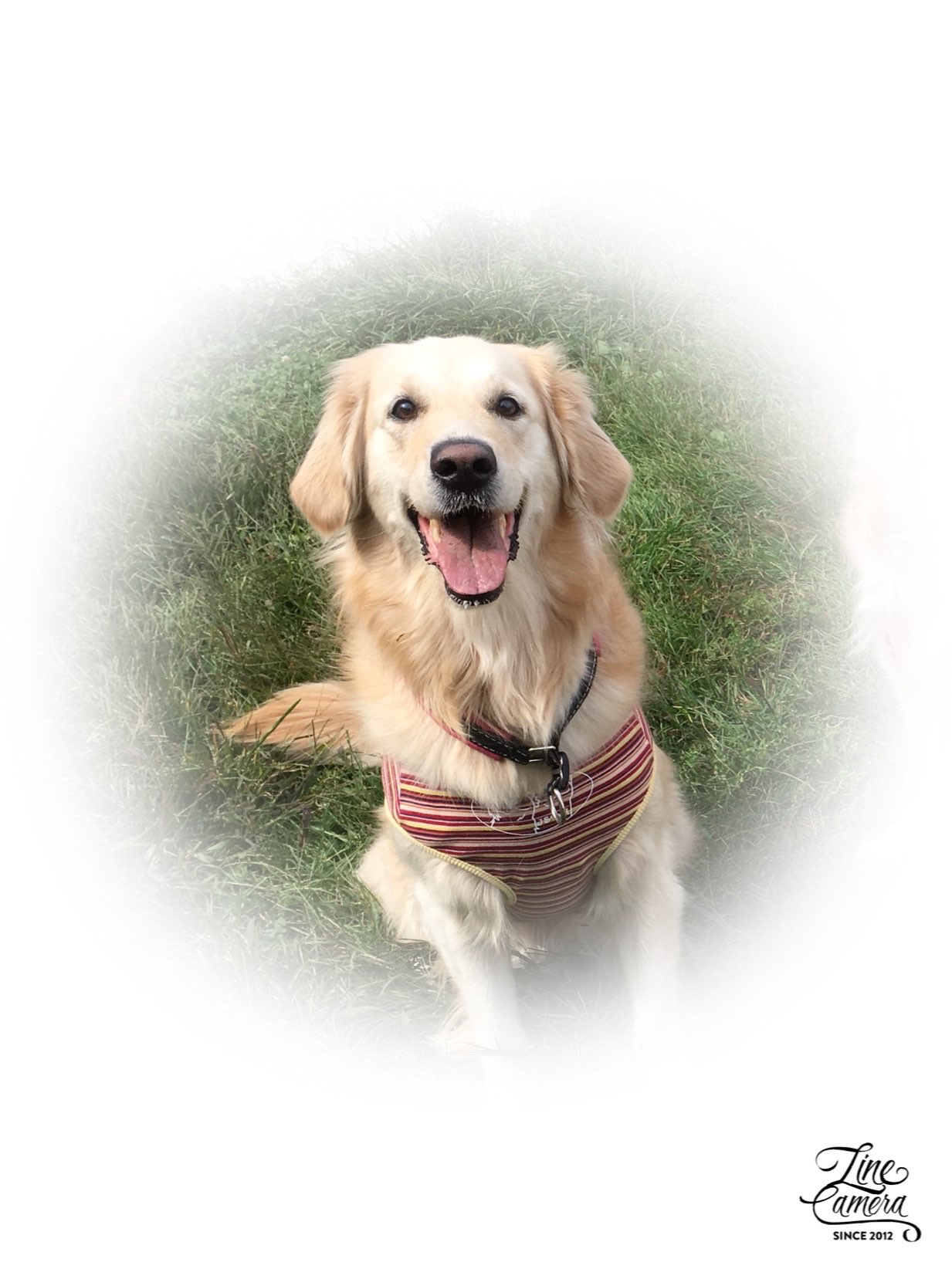 あやさんのプロフィール画像