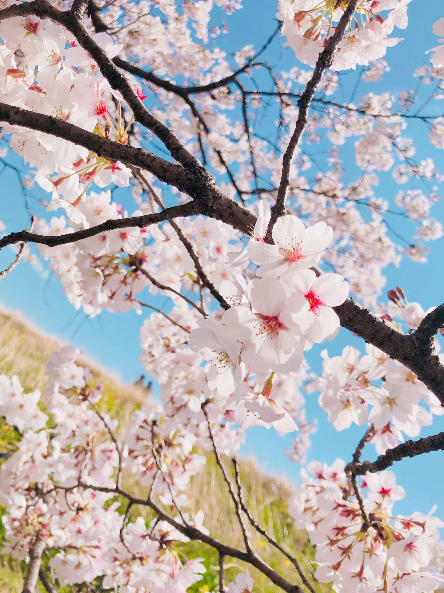 ぉぃちゃんさんのプロフィール画像