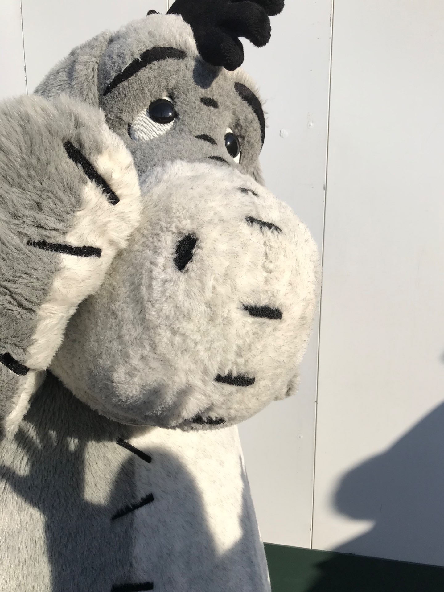 ようちこさんのプロフィール画像