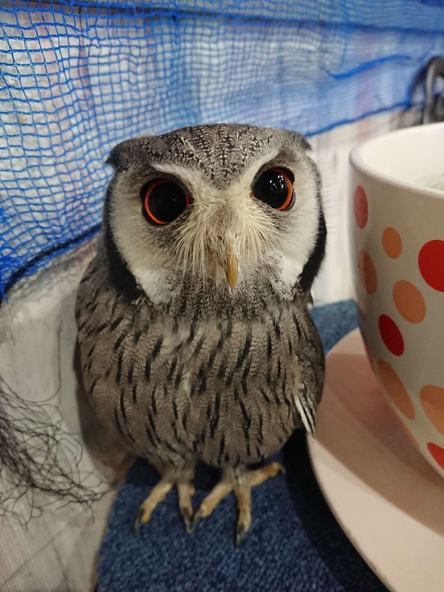 美紀さんのプロフィール画像