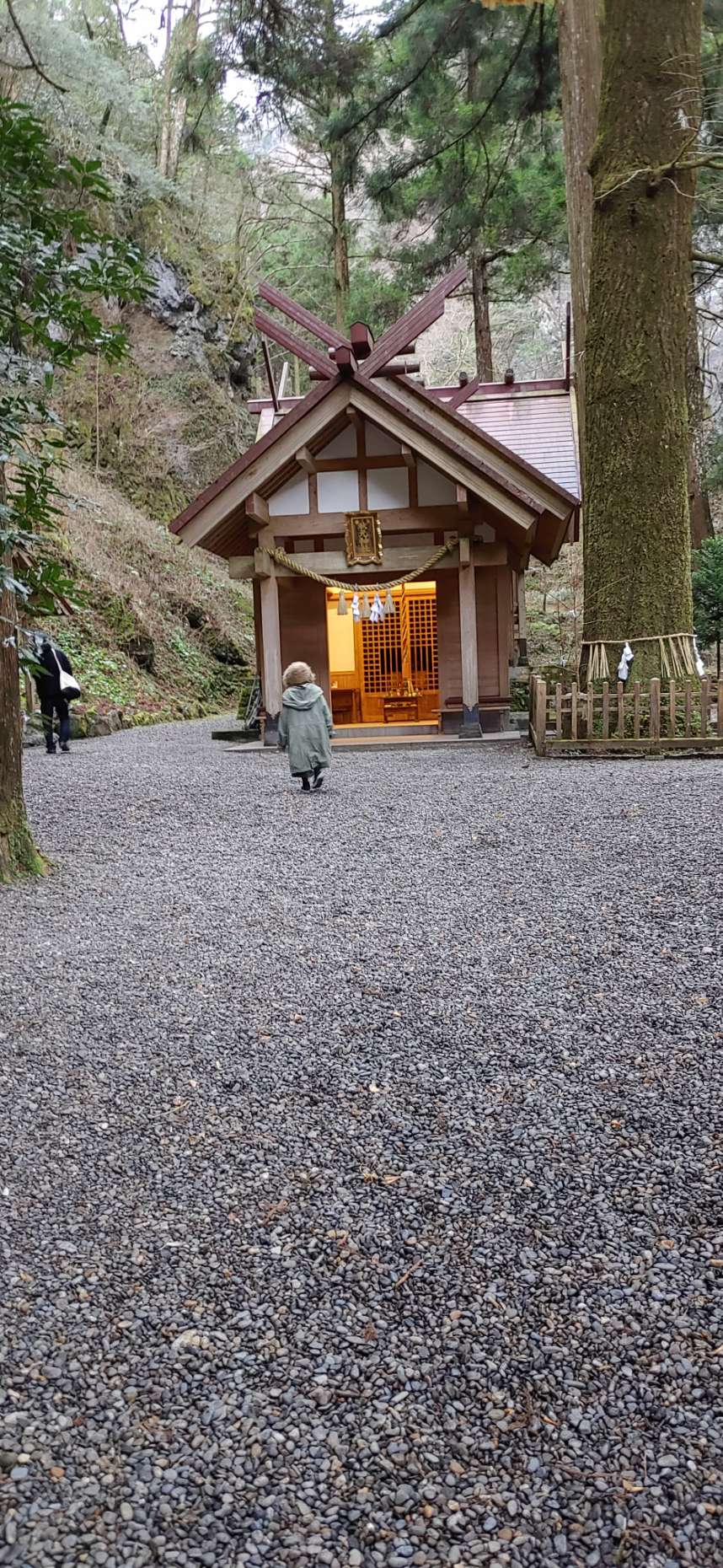 あーりんさんのプロフィール画像