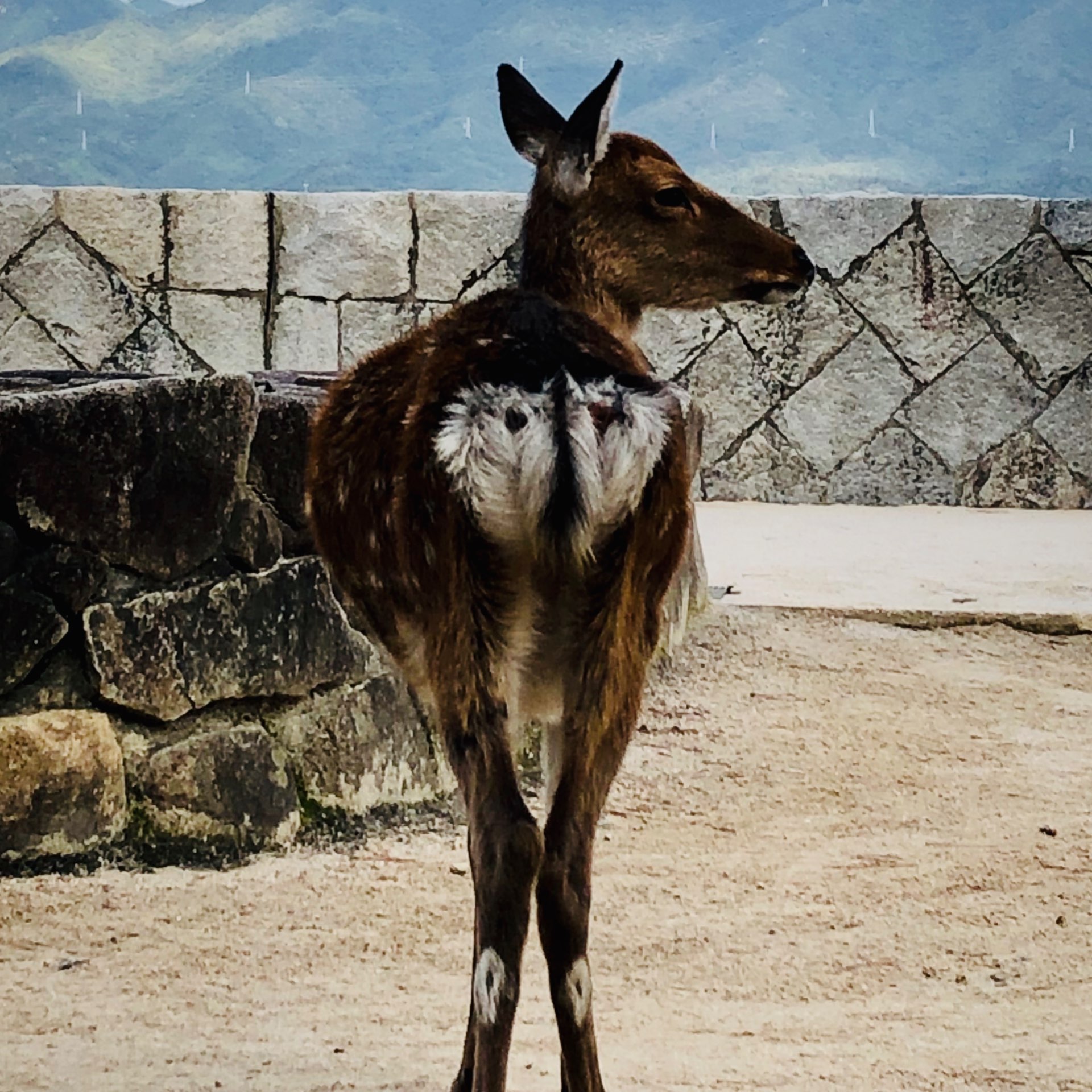 Yousukeさんのプロフィール画像