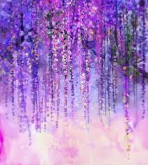 みいさんのプロフィール画像