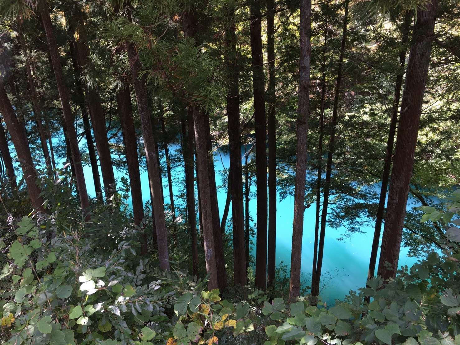 ☆KMB☆さんのプロフィール画像