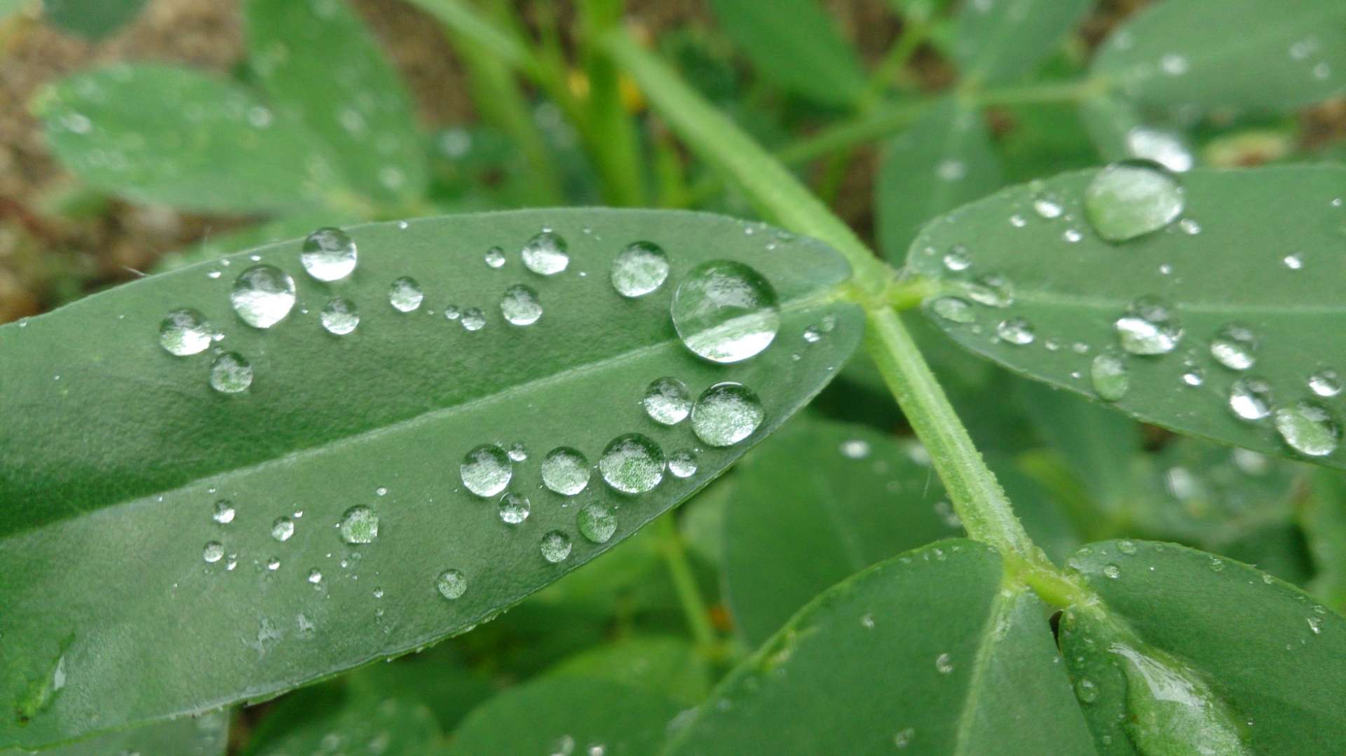 やんわりさんのプロフィール画像