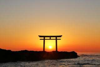 凛さんのプロフィール画像