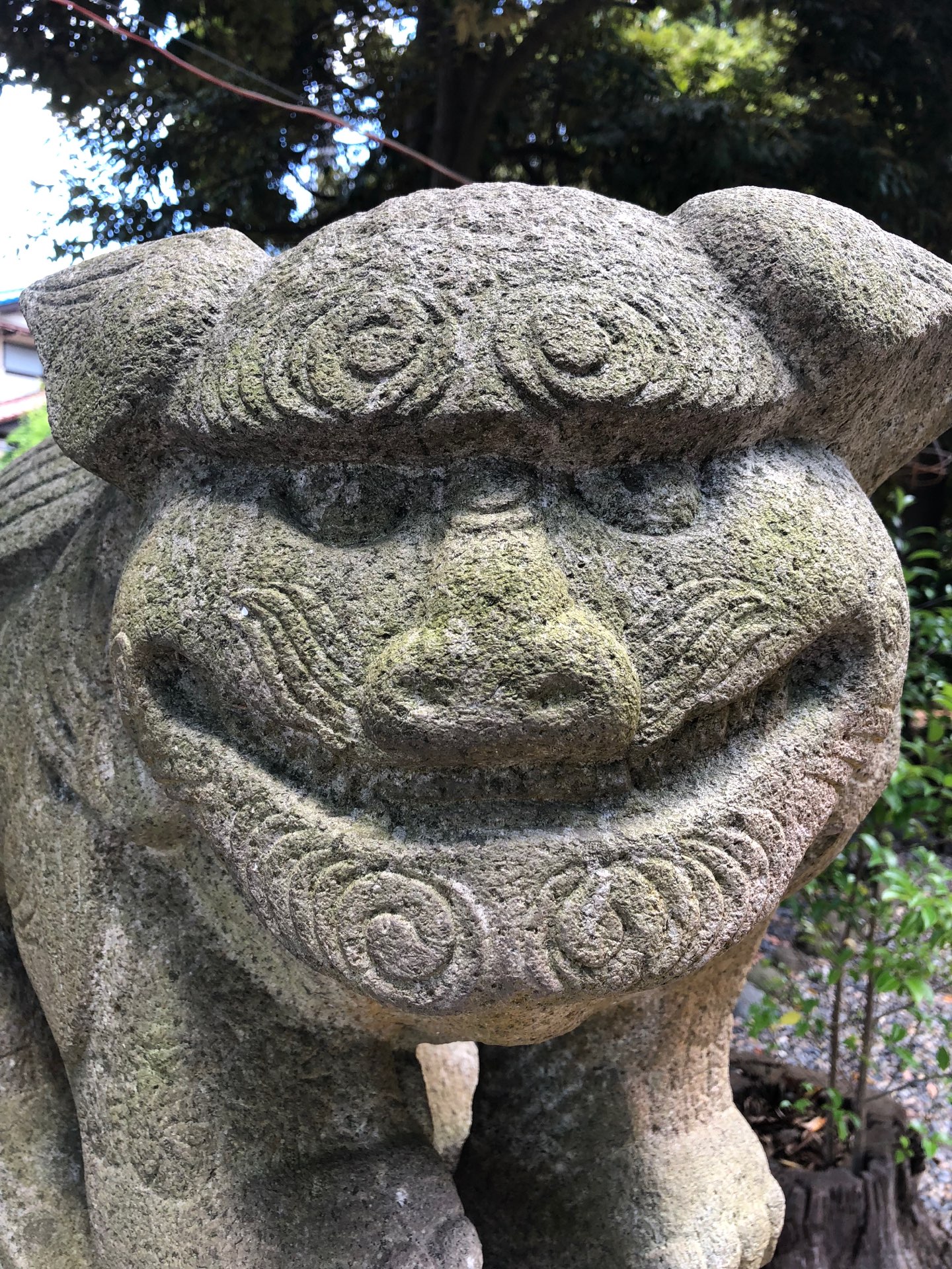 ゆきちさんのプロフィール画像