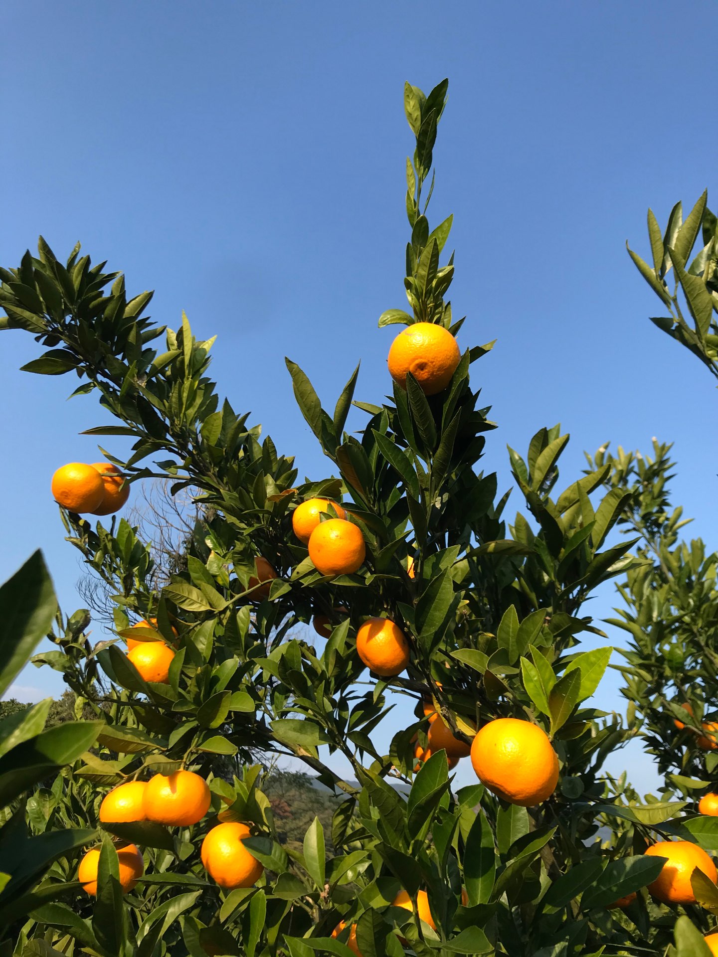 みといずみさんのプロフィール画像