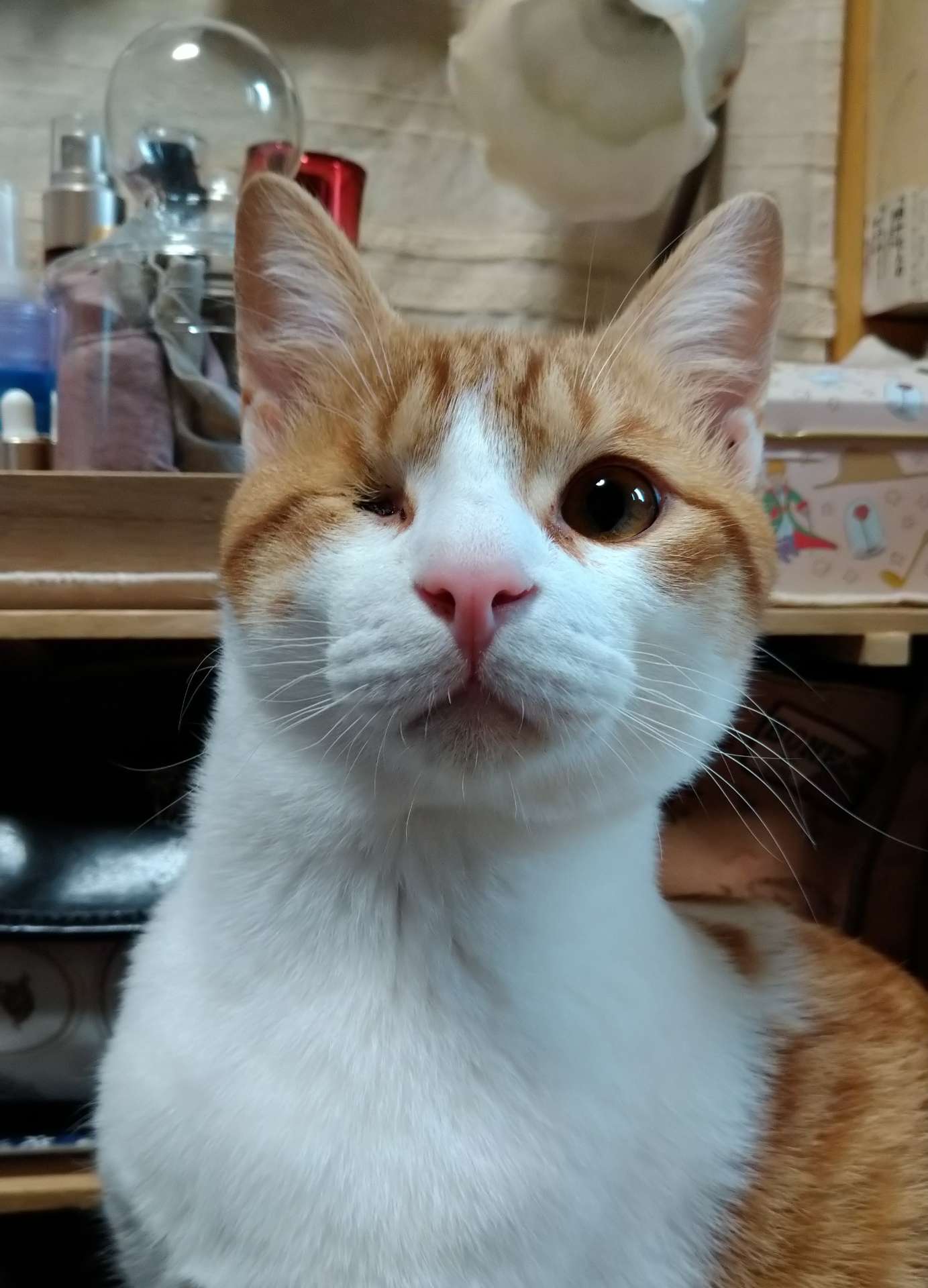 あさのさんのプロフィール画像