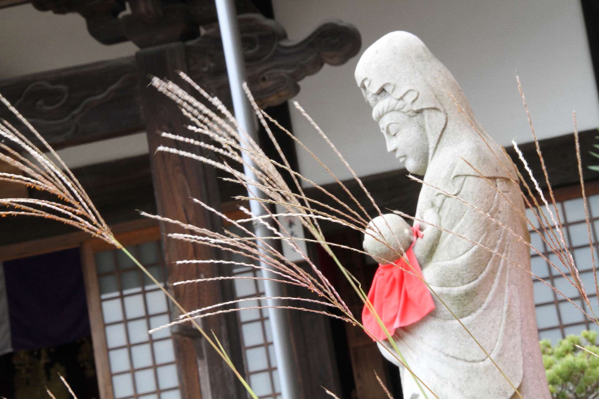 長安寺さんのプロフィール画像