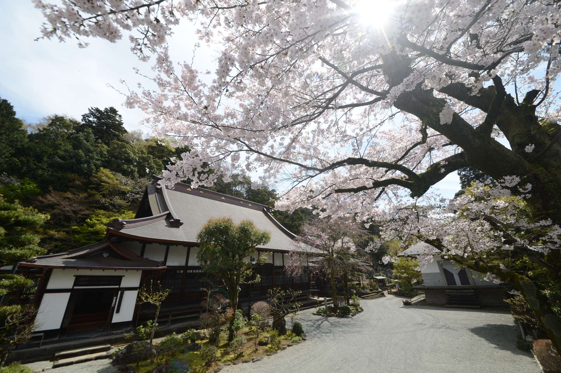 最明寺さんのプロフィール画像