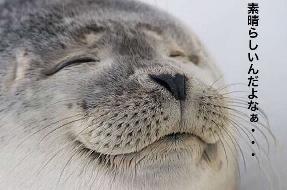 ポン酢ラーメンさんのプロフィール画像