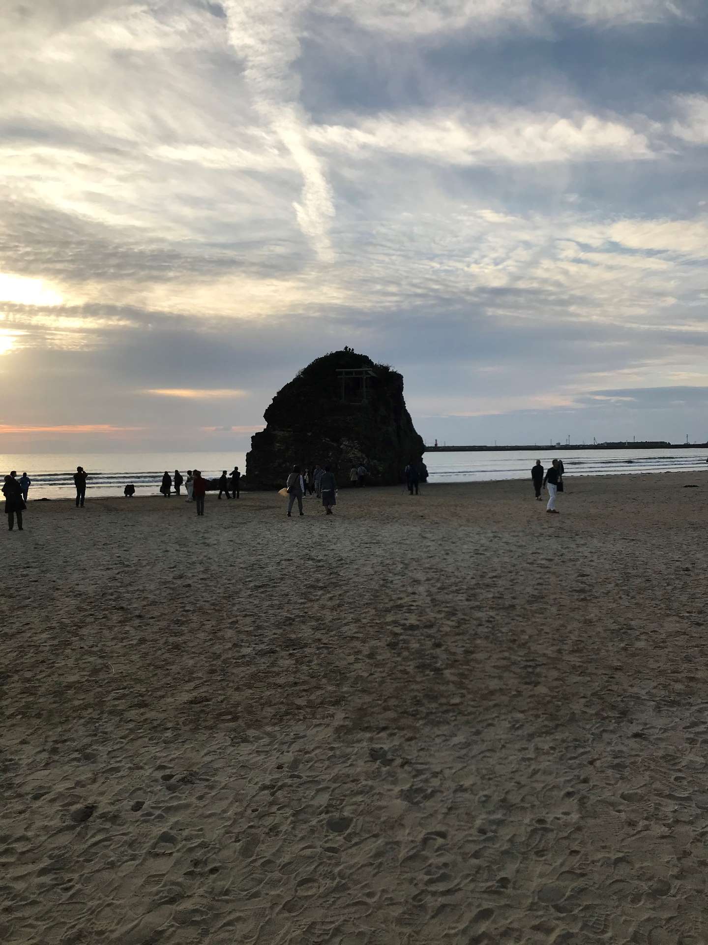 日野月読さんのプロフィール画像