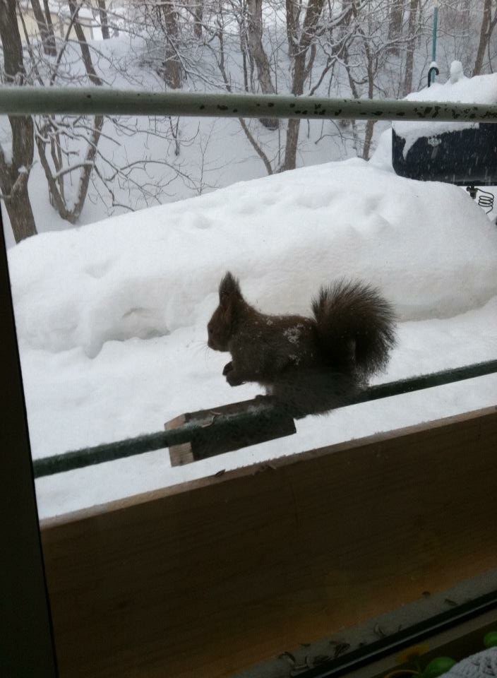 たっちさんのプロフィール画像