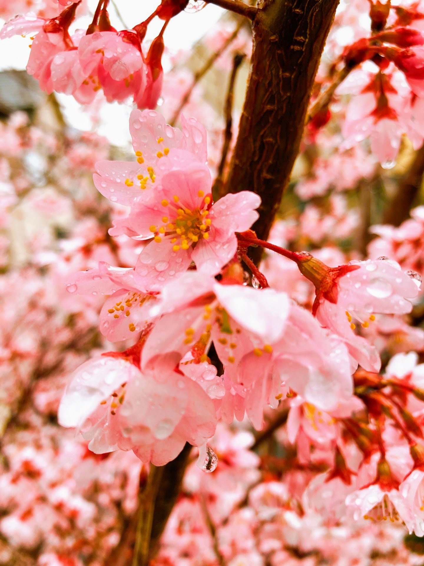 のぞみさんのプロフィール画像