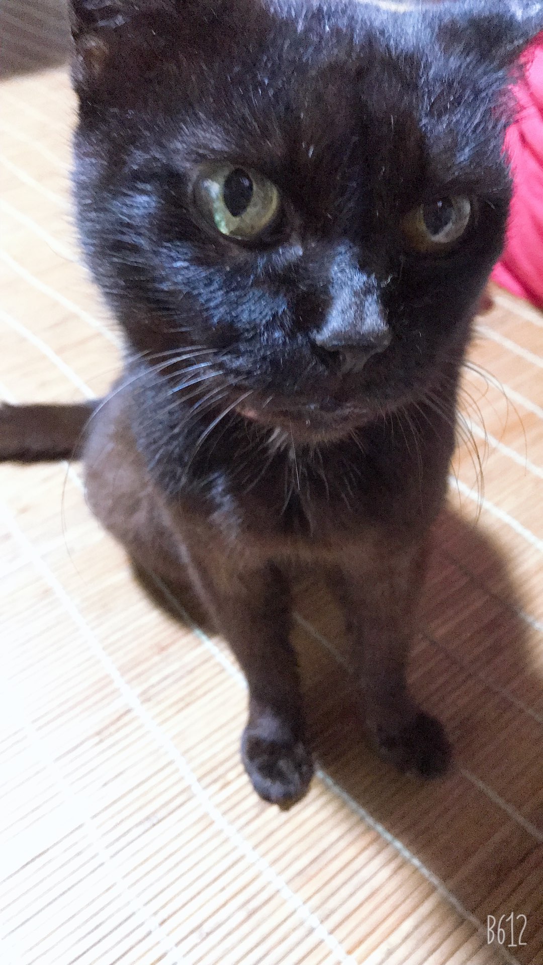 やっくんさんのプロフィール画像