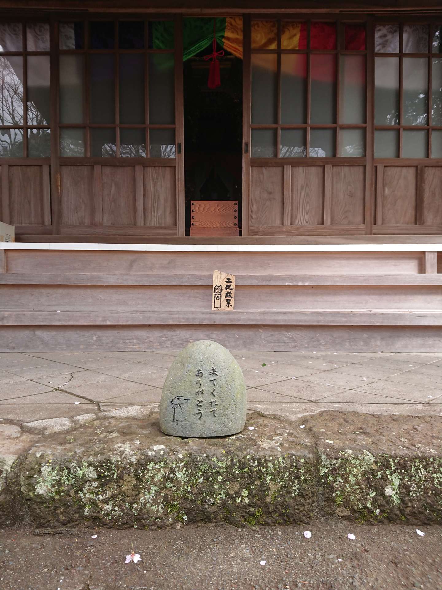 iwaさんのプロフィール画像