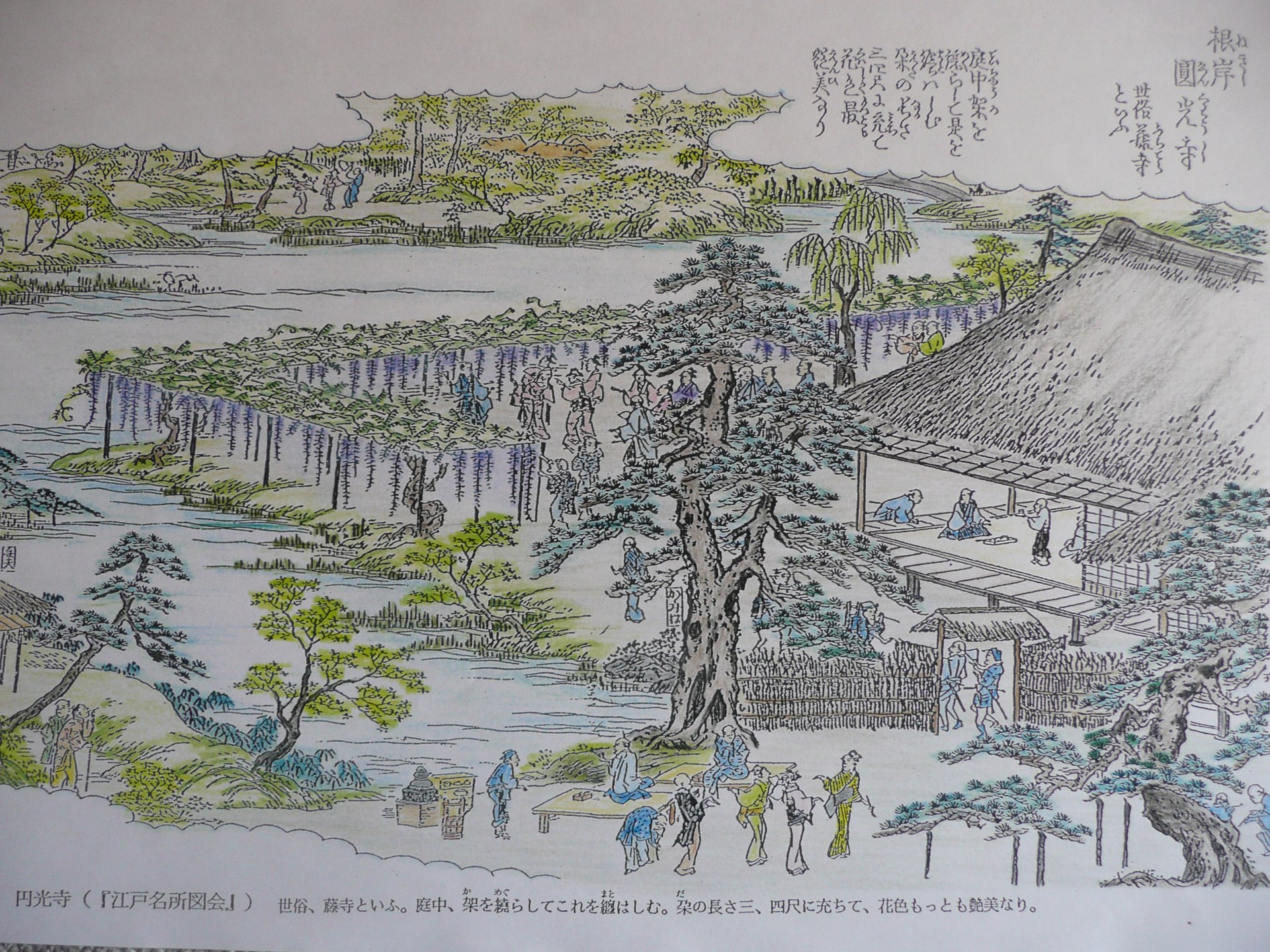 円光寺さんのプロフィール画像