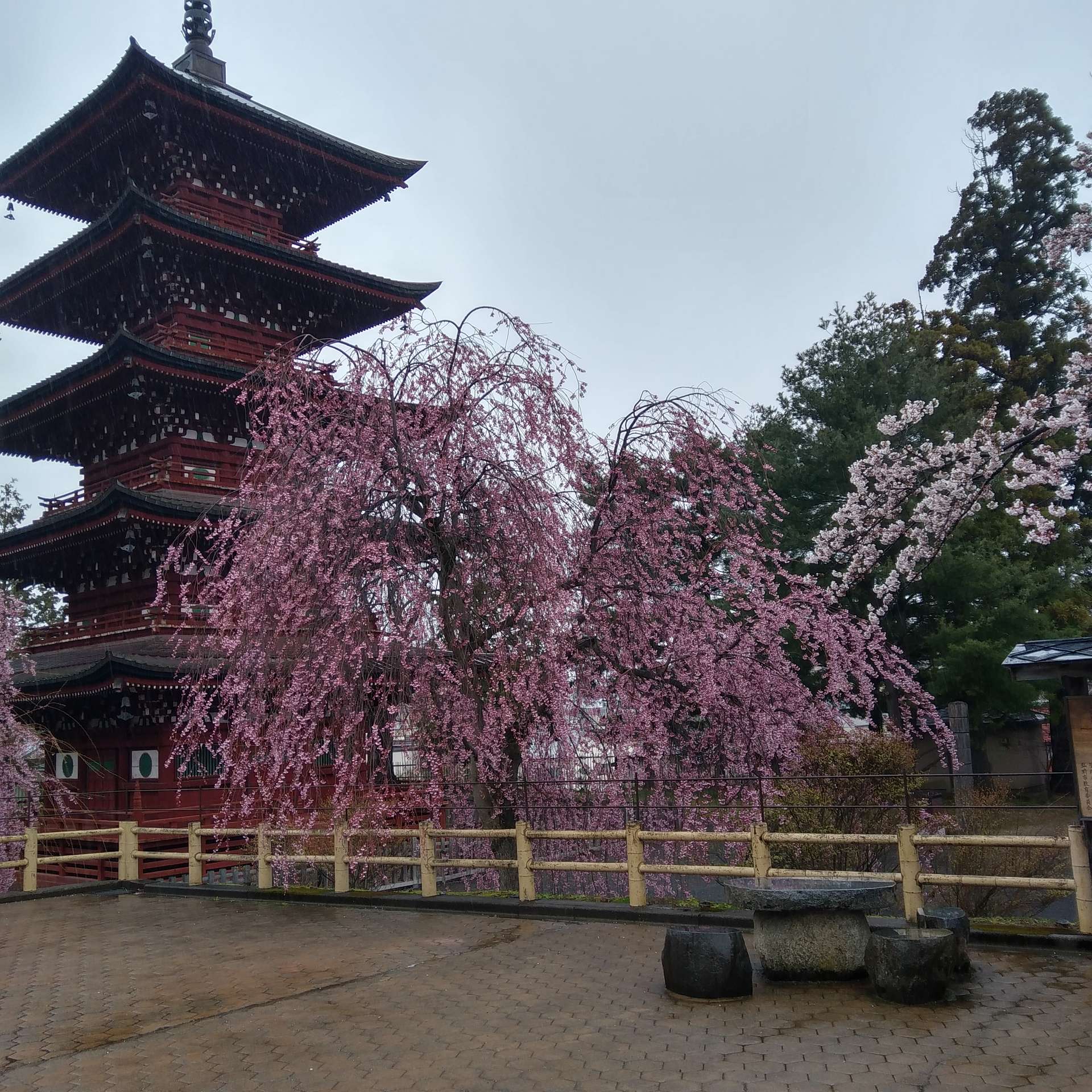 NANOさんのプロフィール画像