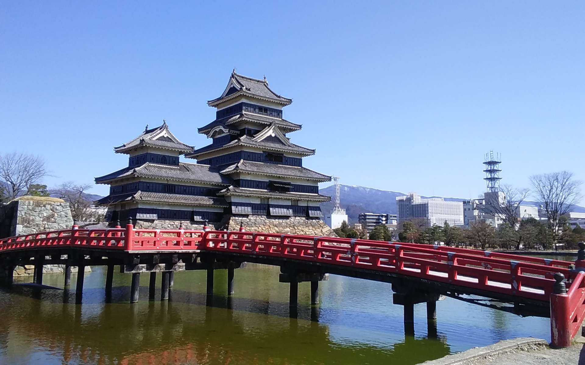 紫陽花さんのプロフィール画像