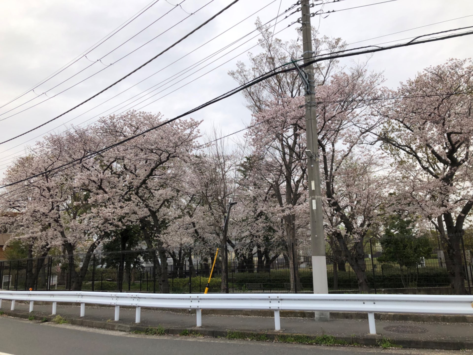 かぁちゅんさんのプロフィール画像