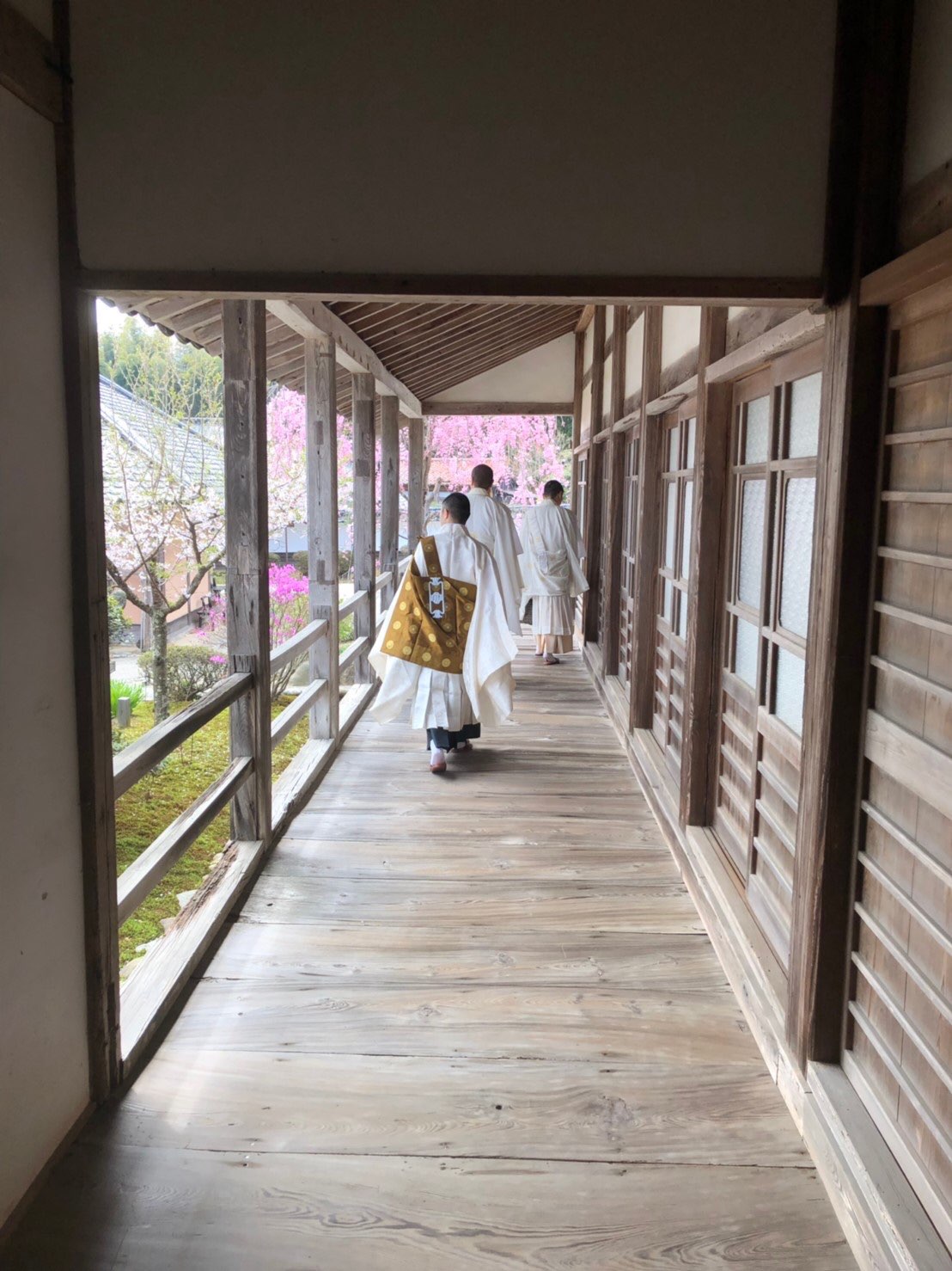 廣龍寺さんのプロフィール画像