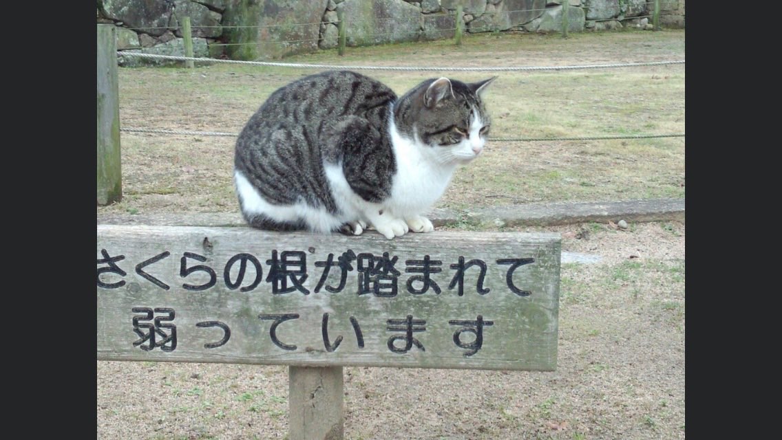 sterling silverさんのプロフィール画像