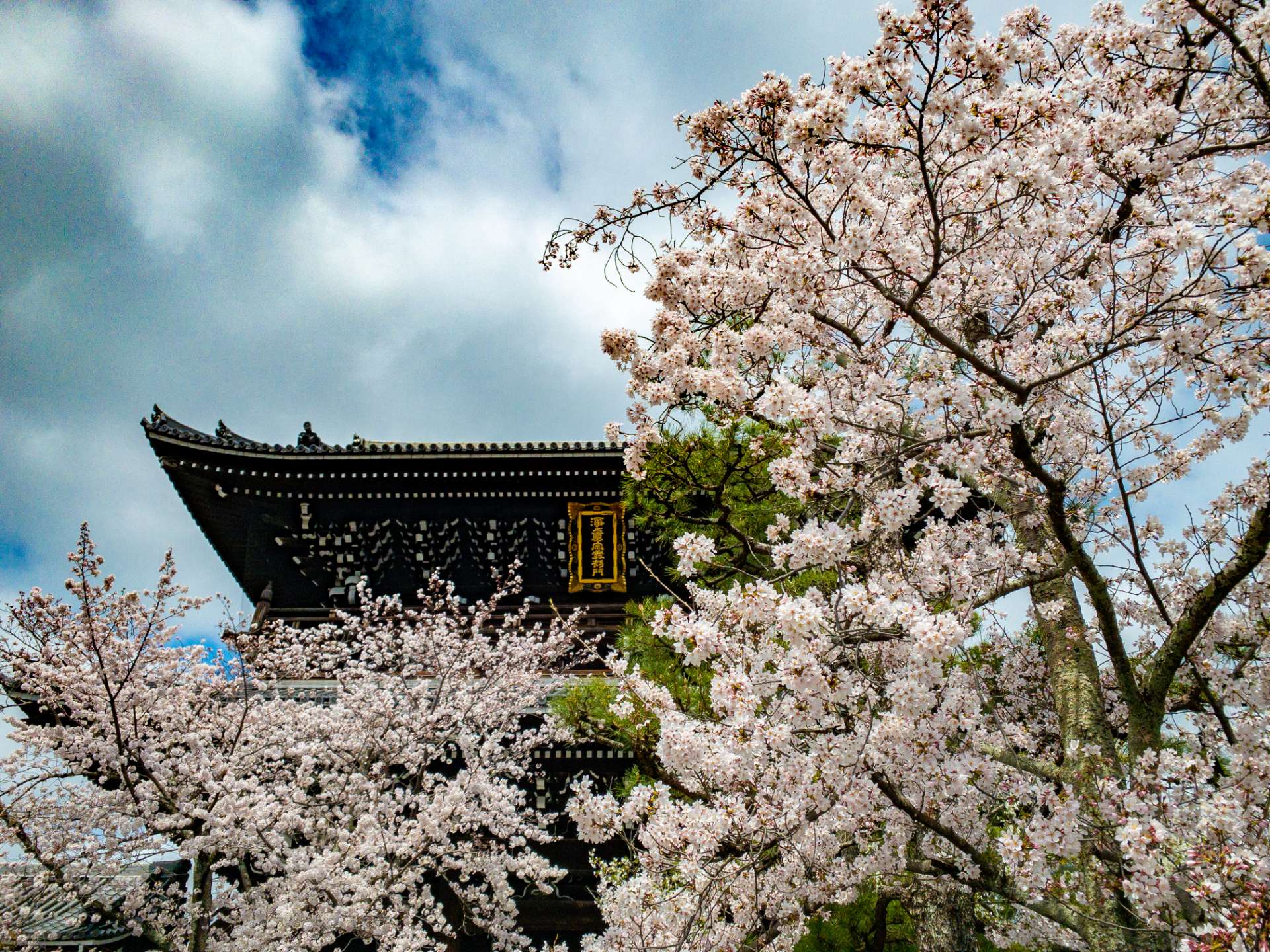 広報担当さんのプロフィール画像