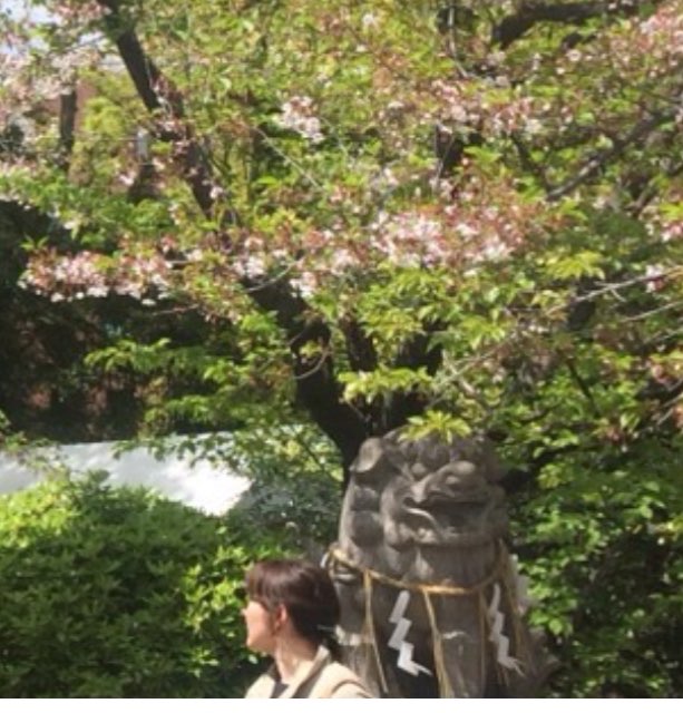 優子さんのプロフィール画像