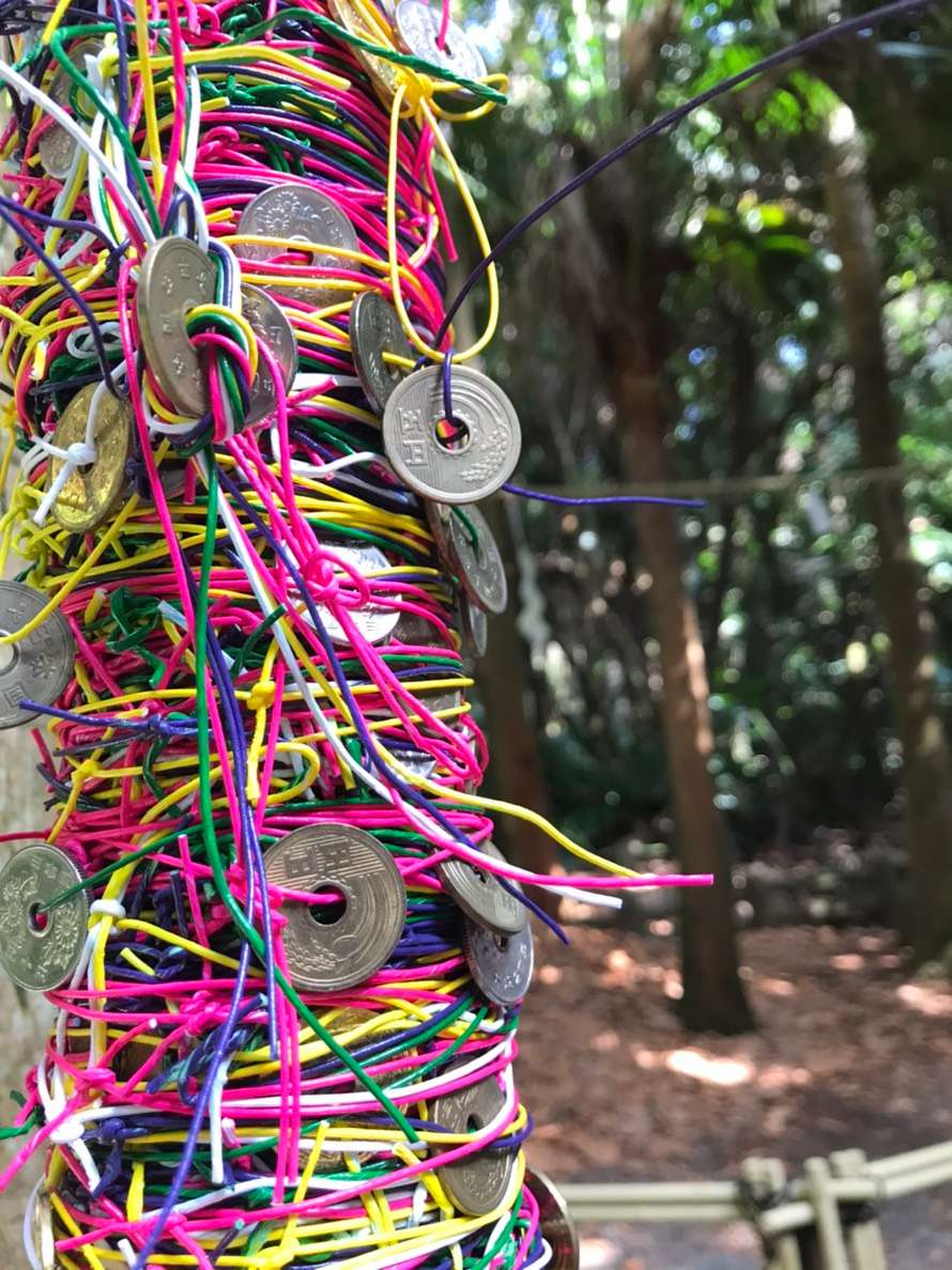 くるみママさんのプロフィール画像