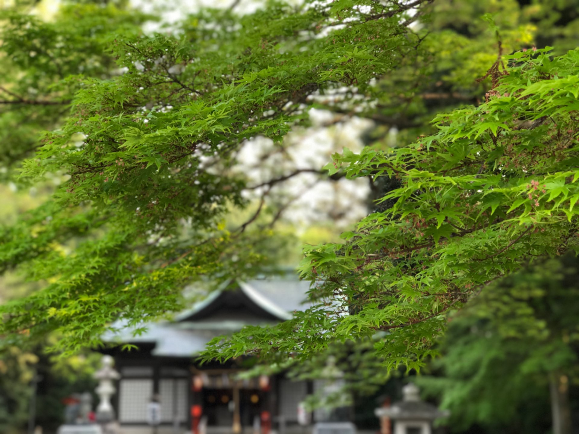國魂神社さんのプロフィール画像