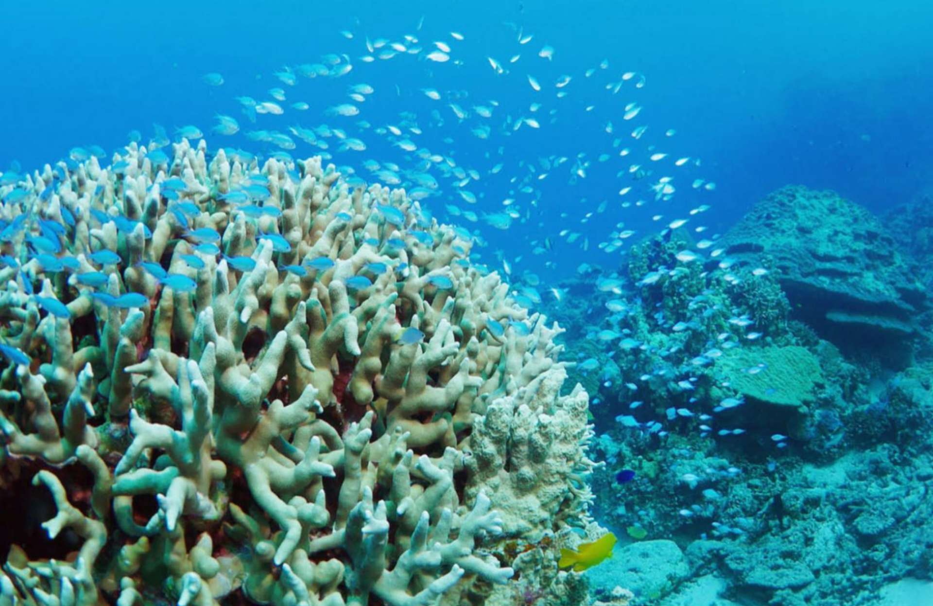 たまちゃんさんのプロフィール画像