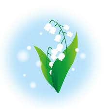 ねこちゃんさんのプロフィール画像