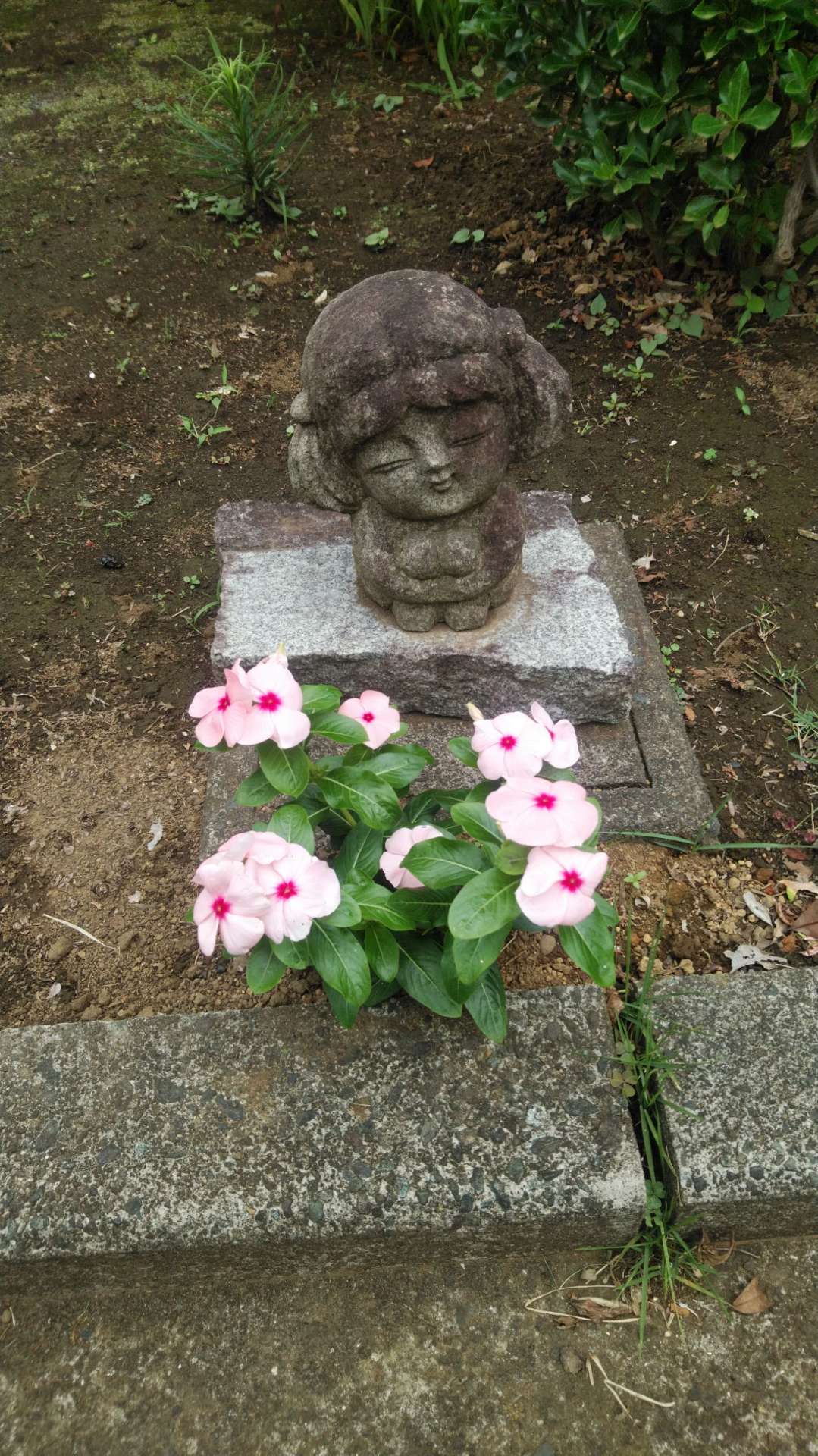 lucky777さんのプロフィール画像