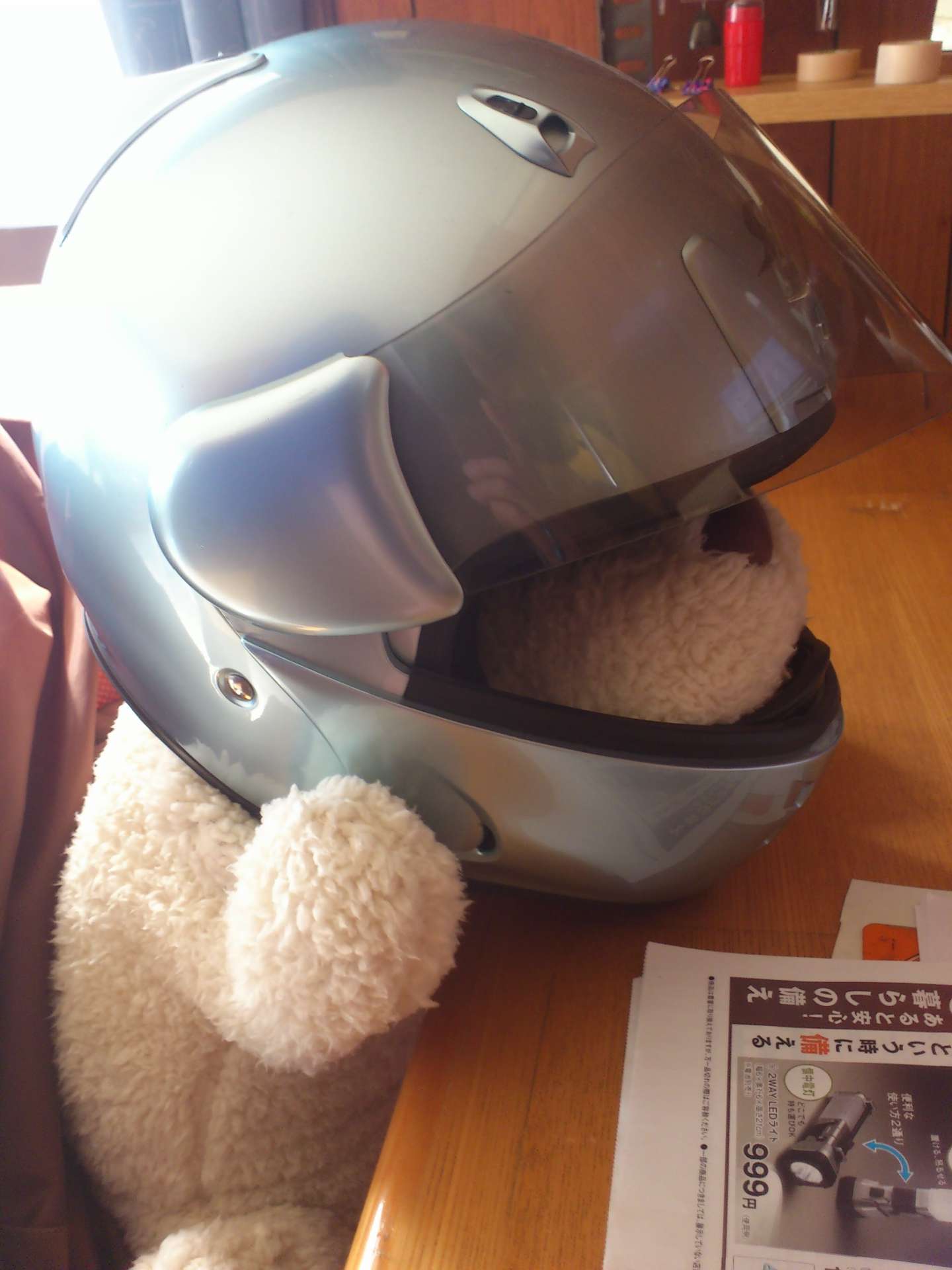 和泉こうさんのプロフィール画像