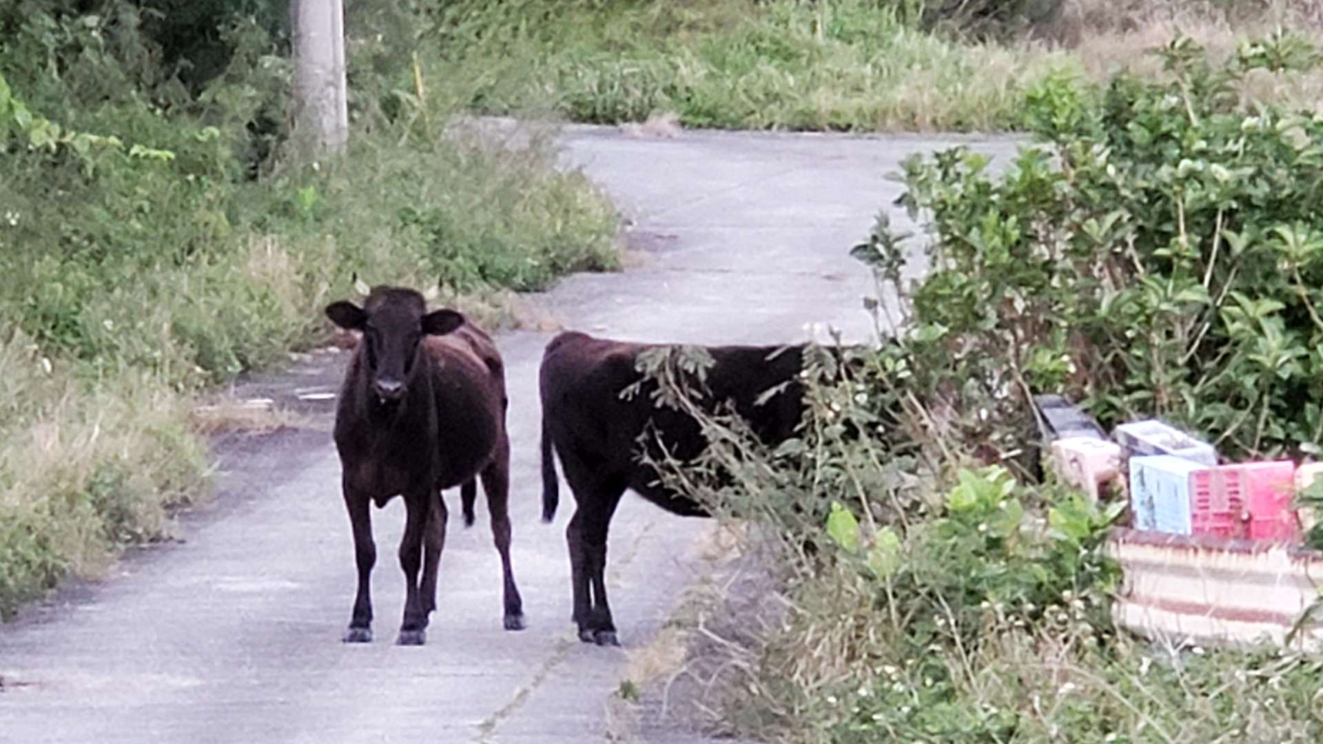 さささんのプロフィール画像