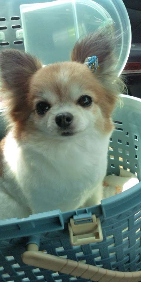 うぃにみさんのプロフィール画像