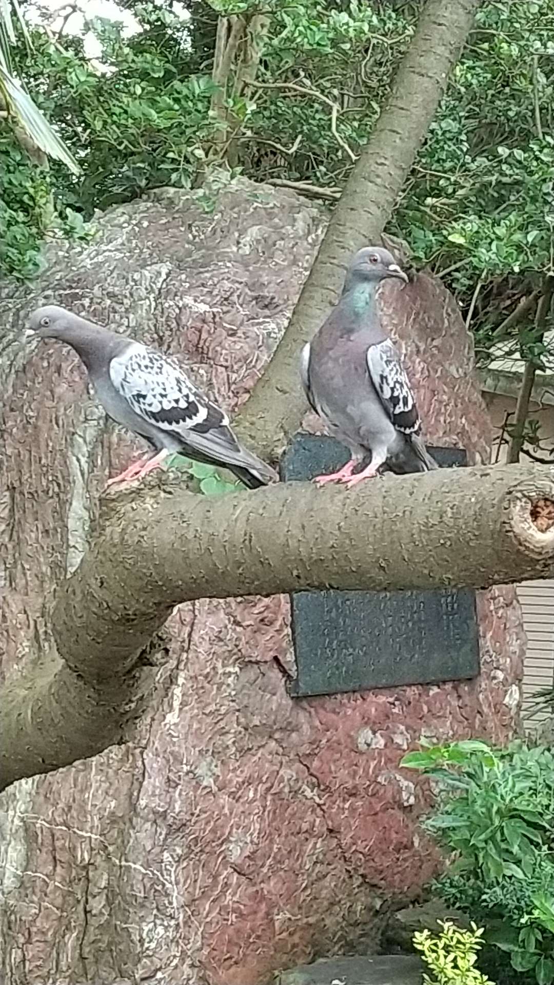 健波さんのプロフィール画像