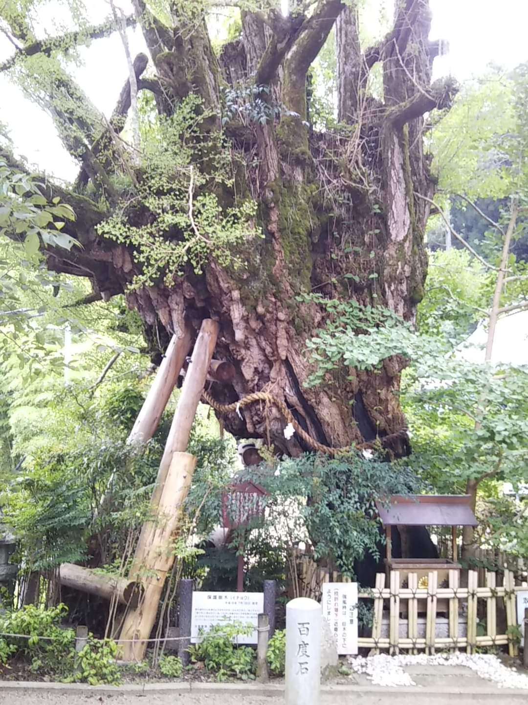 そらさんのプロフィール画像