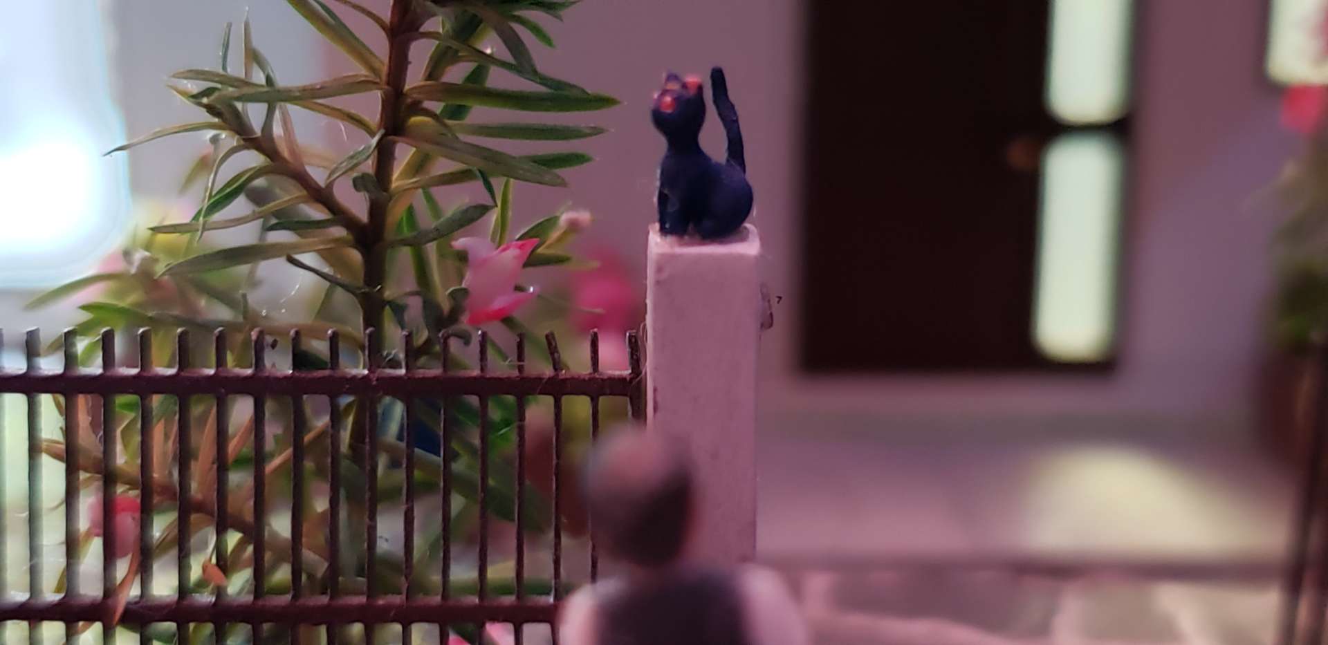 Yoshikoさんのプロフィール画像