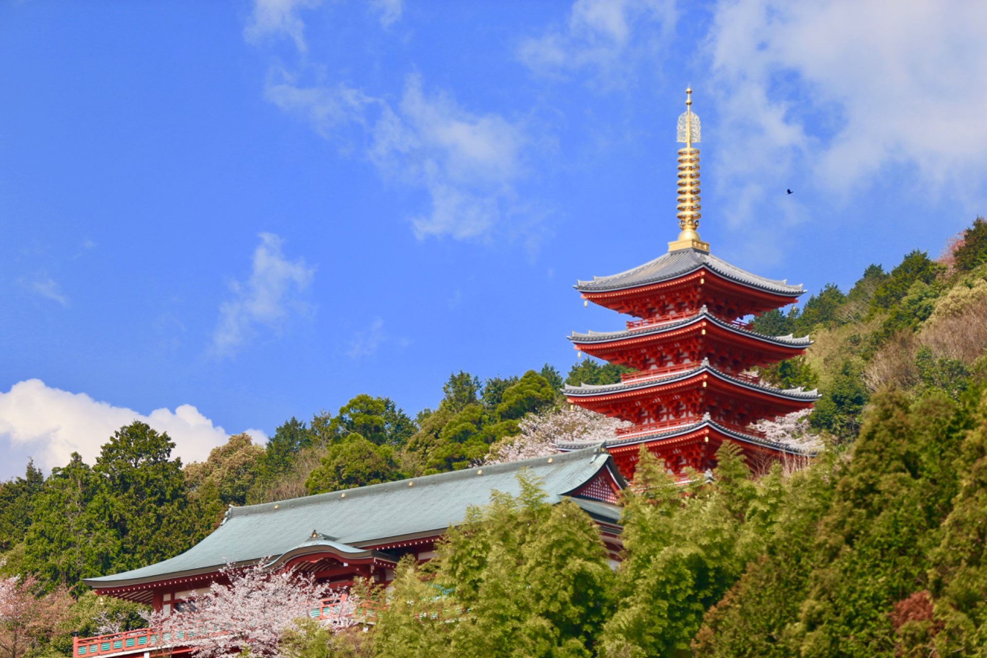 木原千覚さんのプロフィール画像