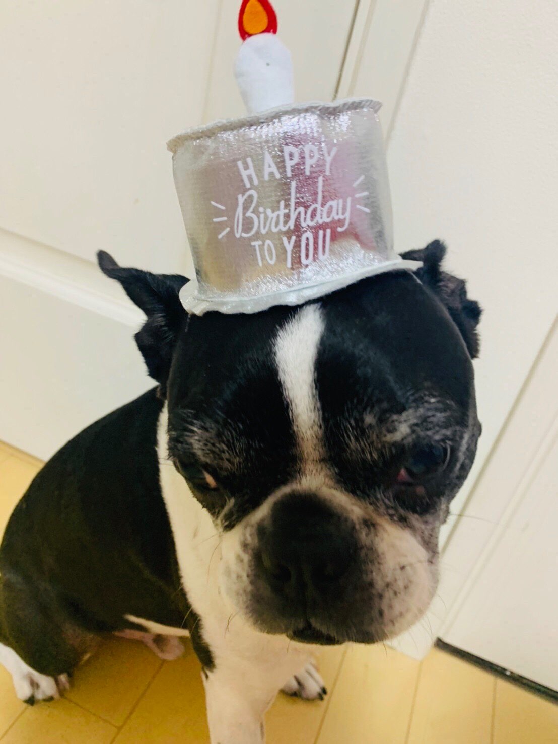 Gorilla-Kingさんのプロフィール画像