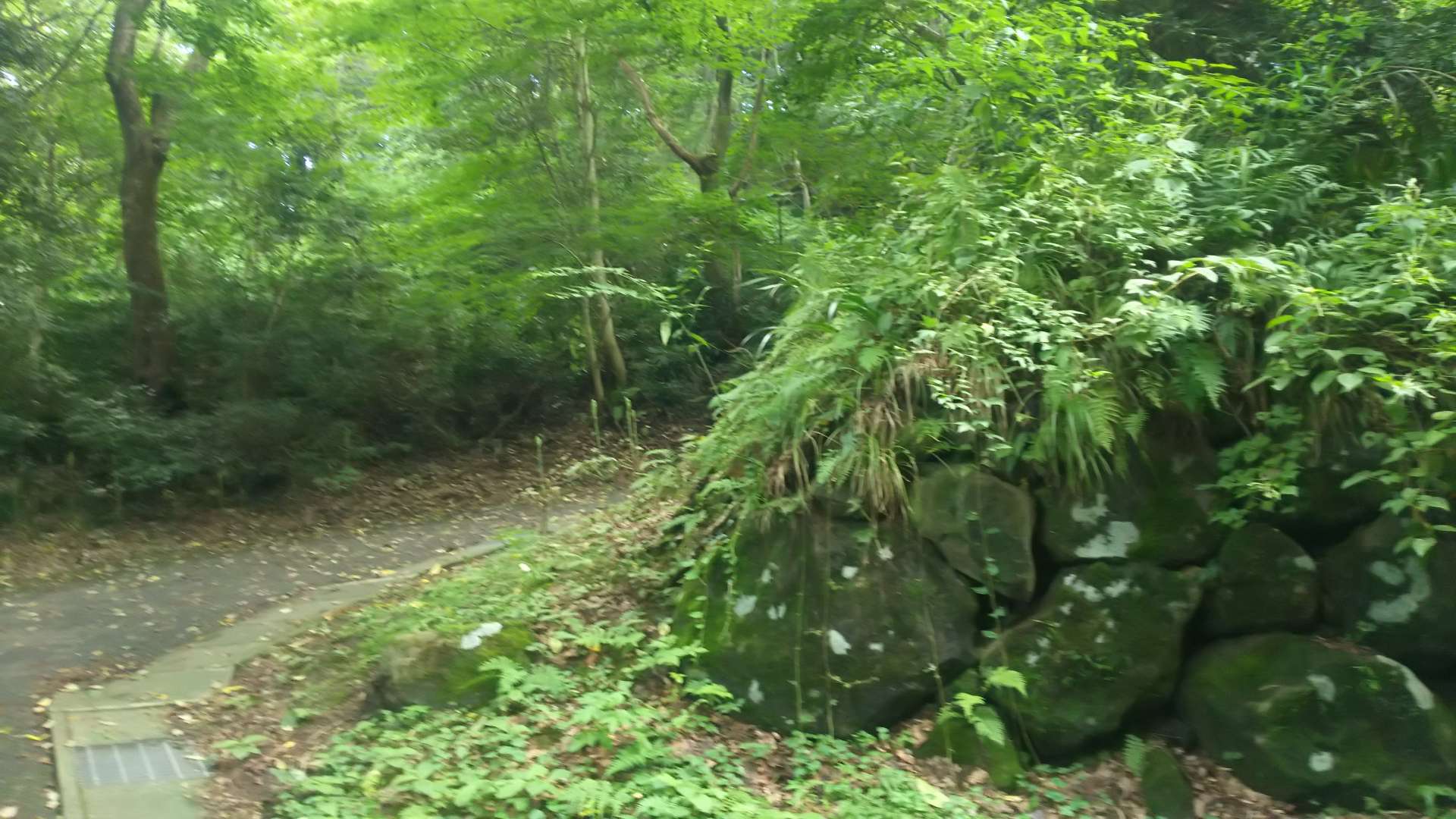 とってんかさんのプロフィール画像