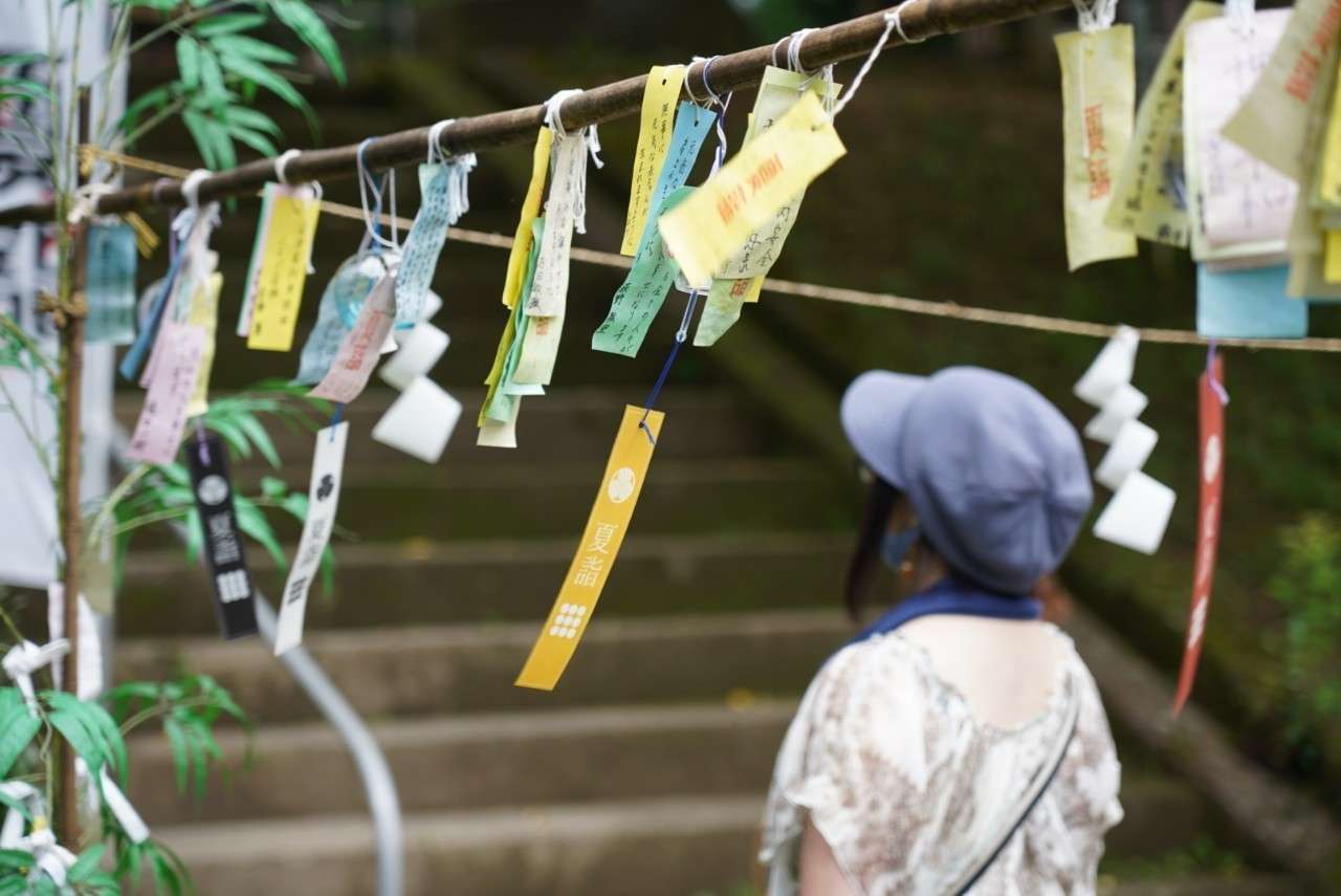 蒼ちゃんさんのプロフィール画像