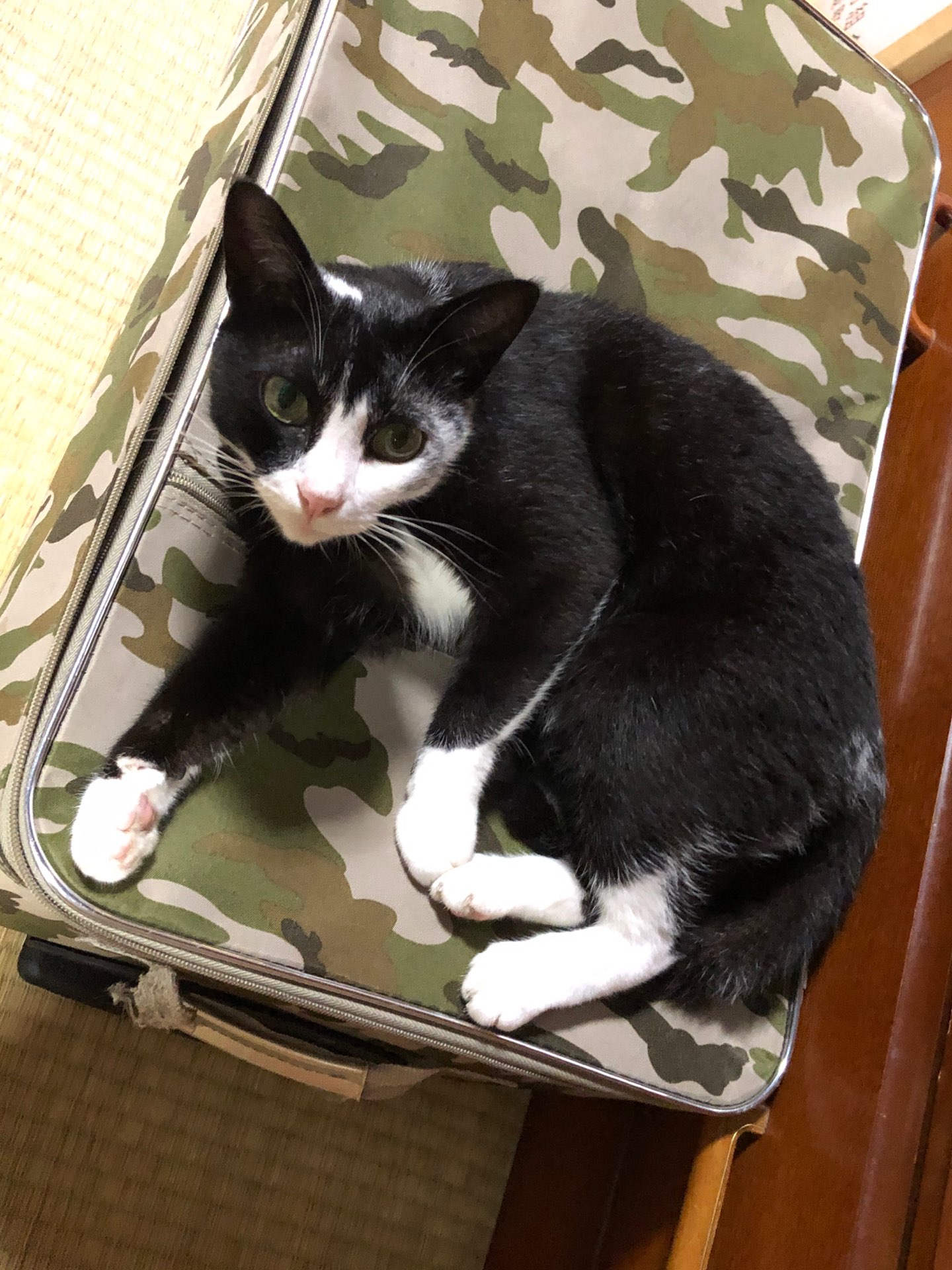 どんきちさんのプロフィール画像