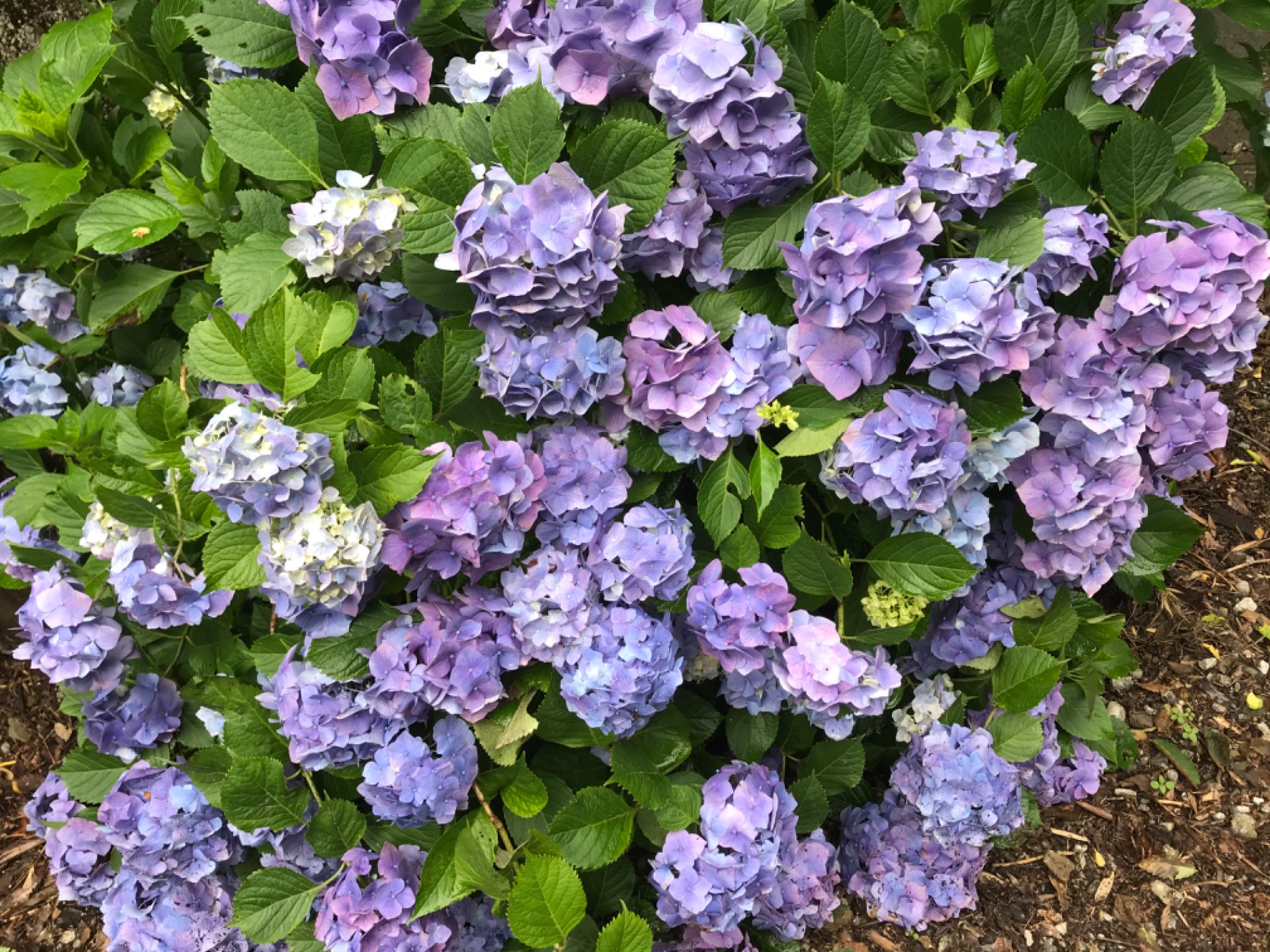 みきおさんのプロフィール画像