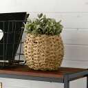 ichikaraさんのプロフィール画像