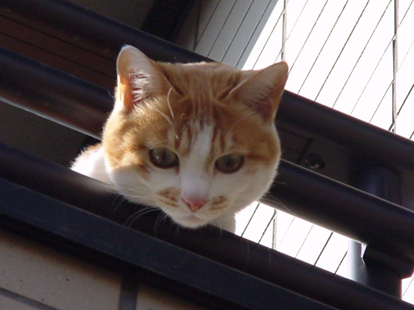 ちゅりぶりさんのプロフィール画像