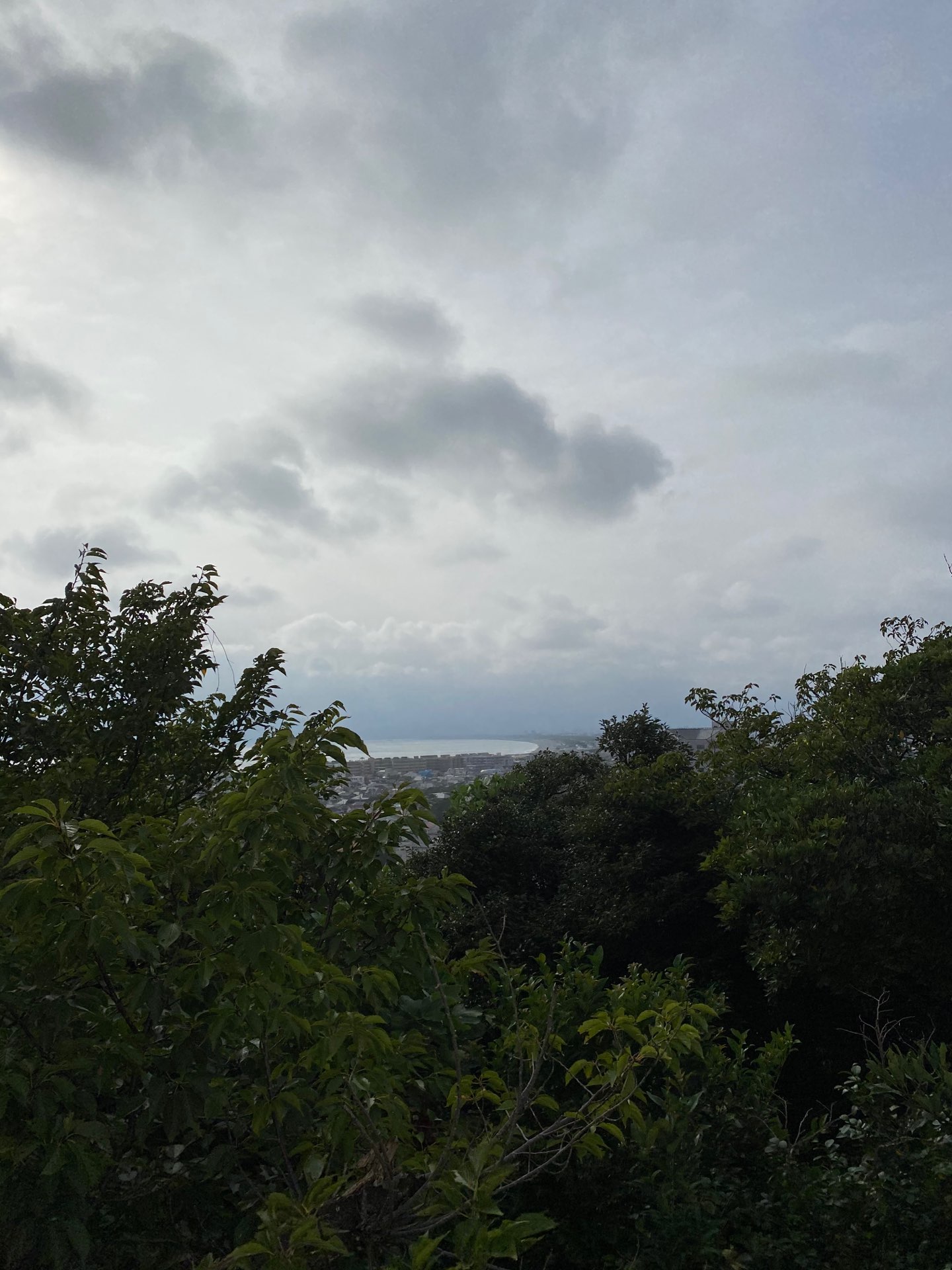 ふぇいんさんのプロフィール画像