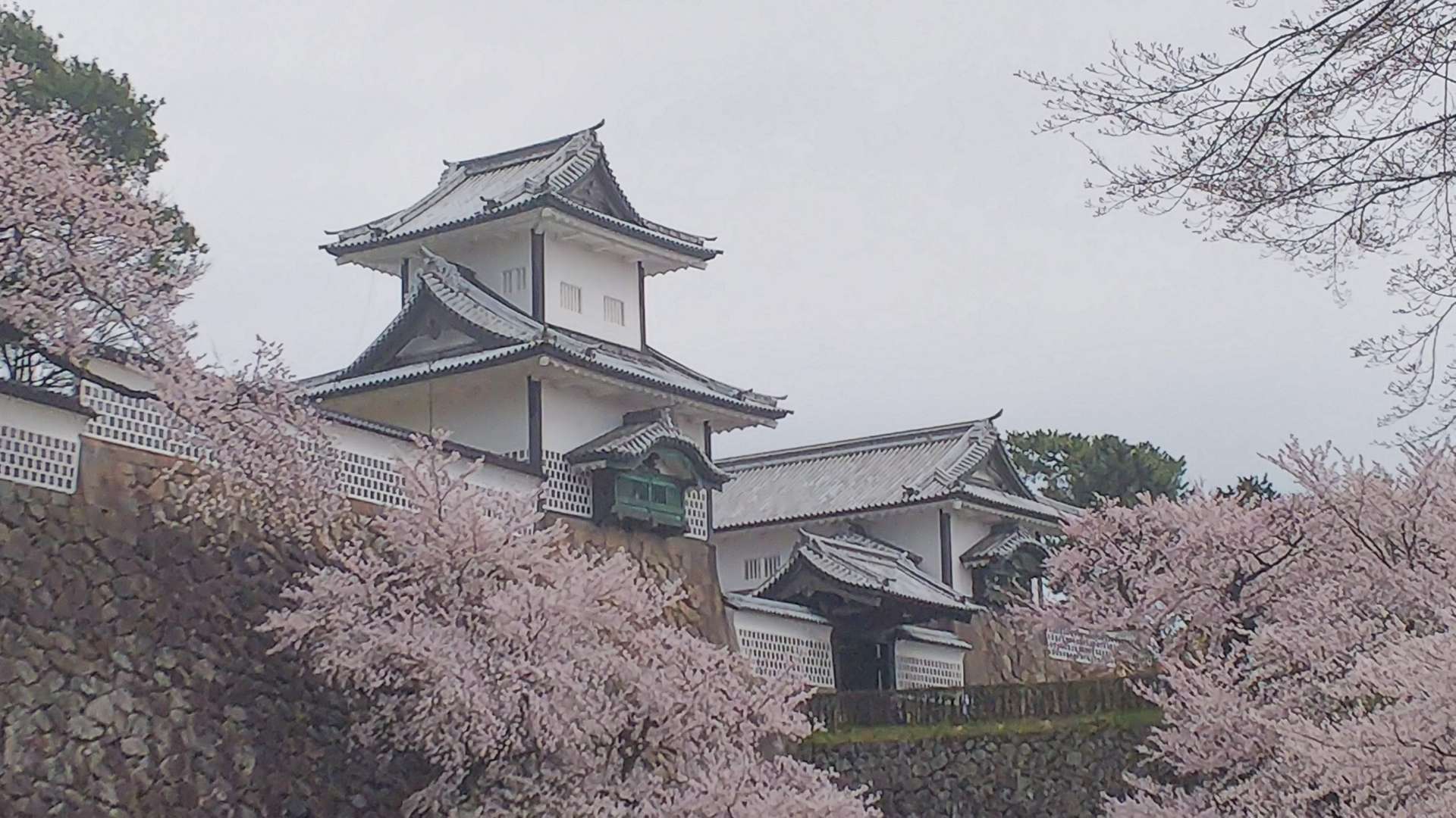 かおけんさんのプロフィール画像